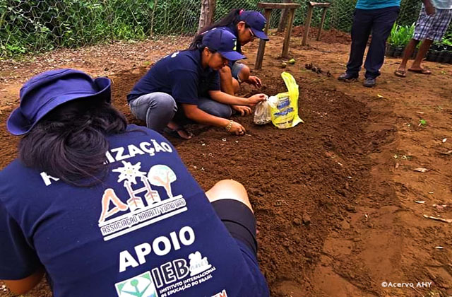 Oficina de produção de mudas do Cerrado no Mato Grosso do Sul