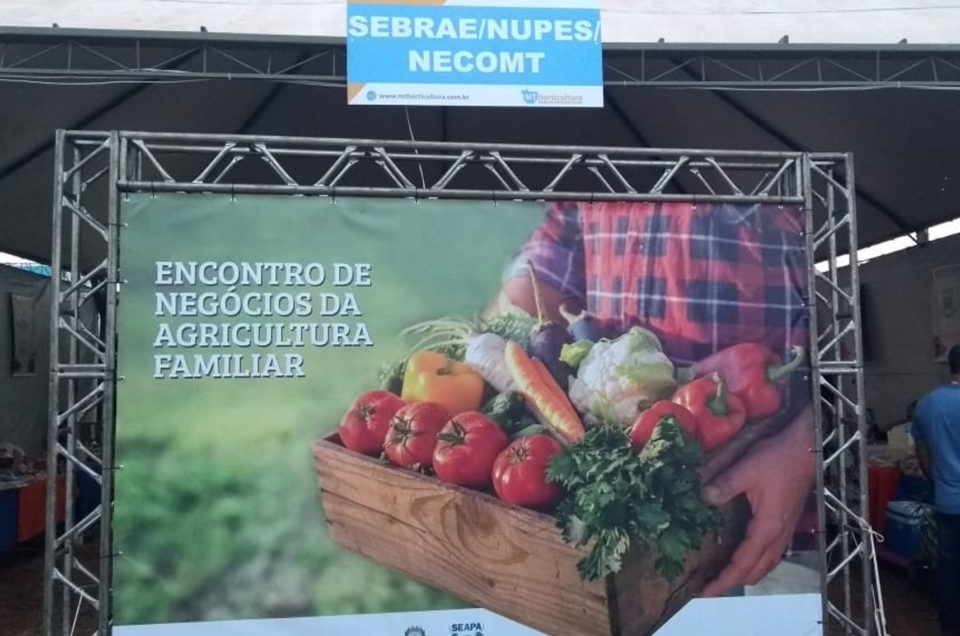 Agricultura familiar e artesanato têm espaço exclusivo na Feira MT horticultura