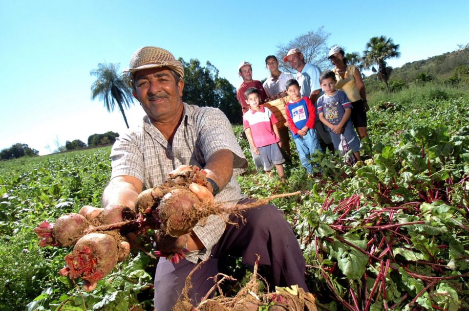 FIDA lança estudo sobre a agricultura familiar